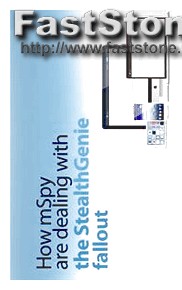 Mspy Lite Nasıl Kullanılır